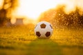 A ball on the green grass field for soccer football game under the sunset ray light and rain. Royalty Free Stock Photo