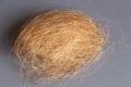 Ball of hairs