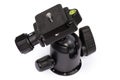 Ball head of a photographic tripod with mounted detachable platform