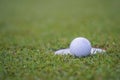 The ball at the hole on the golf course. Golf ball putting on green grass near hole golf to win in game at golf course with blur Royalty Free Stock Photo