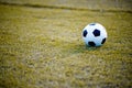 Ball on the lawn in a yellow field on the football field ready for punishment. And start actively football