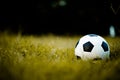 Ball on the lawn in a yellow field on the football field ready for punishment. And start actively football