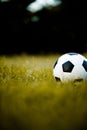 Ball on the lawn in a yellow field on the football field ready for punishment. And start actively football