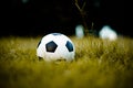 Ball on the lawn in a yellow field on the football field ready for punishment. And start actively football