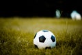 Ball on the lawn in a yellow field on the football field ready for punishment. And start actively football