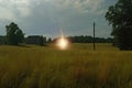 ball lightning streaking across an open field