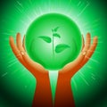 Ball Magic Ecology Plants Hand Flash Light Background