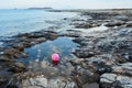 Ball in natural pool Royalty Free Stock Photo