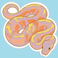 ball python snake art