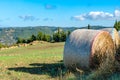 Ball or roll of hay in field in the tuscany hills in summer with blue sky Royalty Free Stock Photo