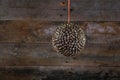 Ball Shape Pine Cone Christmas Decoration on Old Rustic Background Royalty Free Stock Photo