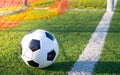 The ball behind the soccer goal line. Royalty Free Stock Photo