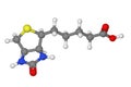 Ball and stick model of biotin molecule