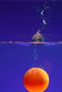 Ball submerged in water Royalty Free Stock Photo