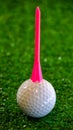 Ball and tee on the golf putting green Royalty Free Stock Photo