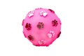 Ball toy for dog isolated on a white background Royalty Free Stock Photo