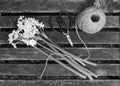 Ball of twine and scissors with bunch of white narcissi