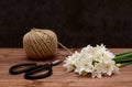 Ball of twine with scissors and white narcissi blooms