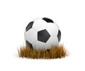 Ball on the withered grass Royalty Free Stock Photo