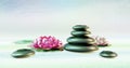 Balanced Pebbles and Lotus Blooms Royalty Free Stock Photo