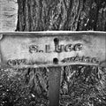 Memorial marker placed at the base of a commemorative tree