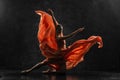 Ballerina demonstrates dance skills. Beautiful classic ballet. Silhouette photo of a young ballet dancer.