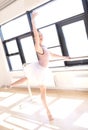 Ballerina Doing Barre Exercises in Sunny Studio