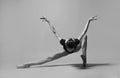 A ballerina is like a bird of prey