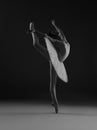 Ballerina in the pose `Swallow` Royalty Free Stock Photo