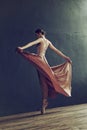 ballerina in a pink dress and punts moves around the room with a fluttering dress