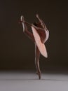 Ballerina in the pose `Swallow` Royalty Free Stock Photo