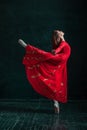 Ballerina posing in pointe shoes at black wooden pavilion Royalty Free Stock Photo