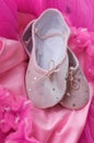 Ballerina slippers on tutu