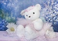 Ballerina Teddy Bear Royalty Free Stock Photo