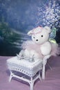 Ballerina Teddy N Tea Royalty Free Stock Photo
