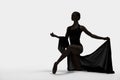 Beautiful ballerina with veil dancing on white background, space for text. Dark silhouette of dancer