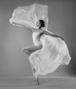 Ballerina with wings Royalty Free Stock Photo