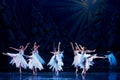 Ballerinas on a stage