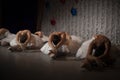 Ballerinas on stage in white tutus. The ballerinas bowed to the floor. The girls perform the swan lake ballet. Graceful dance