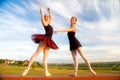 Ballerinas on a wall Royalty Free Stock Photo