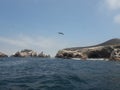 Ballestas islanda Paracas Peru sea lions pelicans penguins rock formations Royalty Free Stock Photo