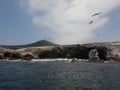 Ballestas islanda Paracas Peru sea lions pelicans penguins rock formations Royalty Free Stock Photo