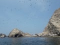 Ballestas islanda Paracas Peru sea lions pelicans penguins rock formations Royalty Free Stock Photo