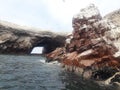 Ballestas islanda Paracas Peru sea lions pelicans penguins rock formations Royalty Free Stock Photo