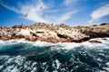 Ballestas Islands, Peru