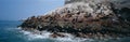 Ballestas Islands, Peru Royalty Free Stock Photo