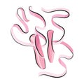 Ballet accessorie. Pink pair of pointe-shoes with satin or silk ribbon. Vector hand drawn sketch style object