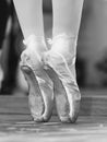 Ballet dancer Royalty Free Stock Photo