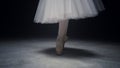 Ballet dancer legs dancing on tiptoe. Ballerina feet doing steps in pointe shoes Royalty Free Stock Photo