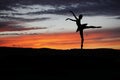 Ballet dancer posing during the sunset Royalty Free Stock Photo